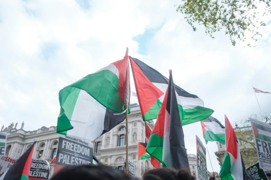 palestine protest