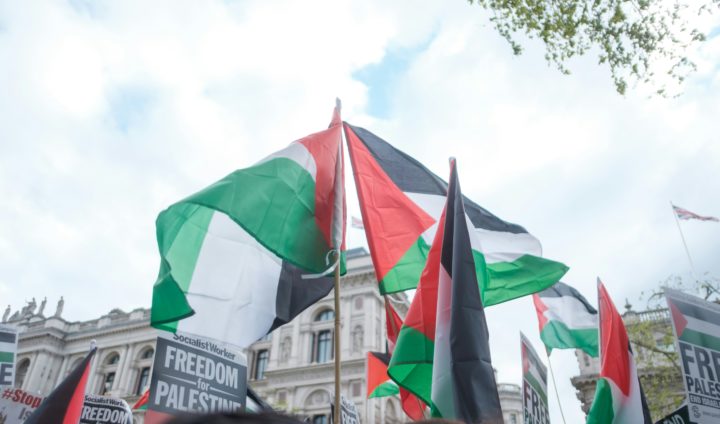palestine protest