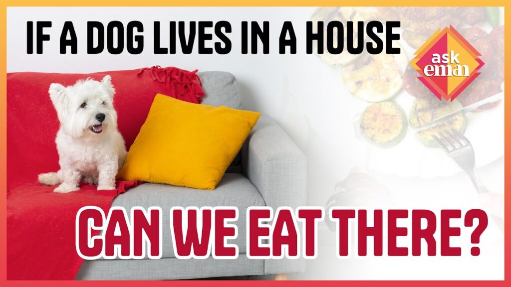 Is It Permissible To Eat Food In A House Which Has A Dog?