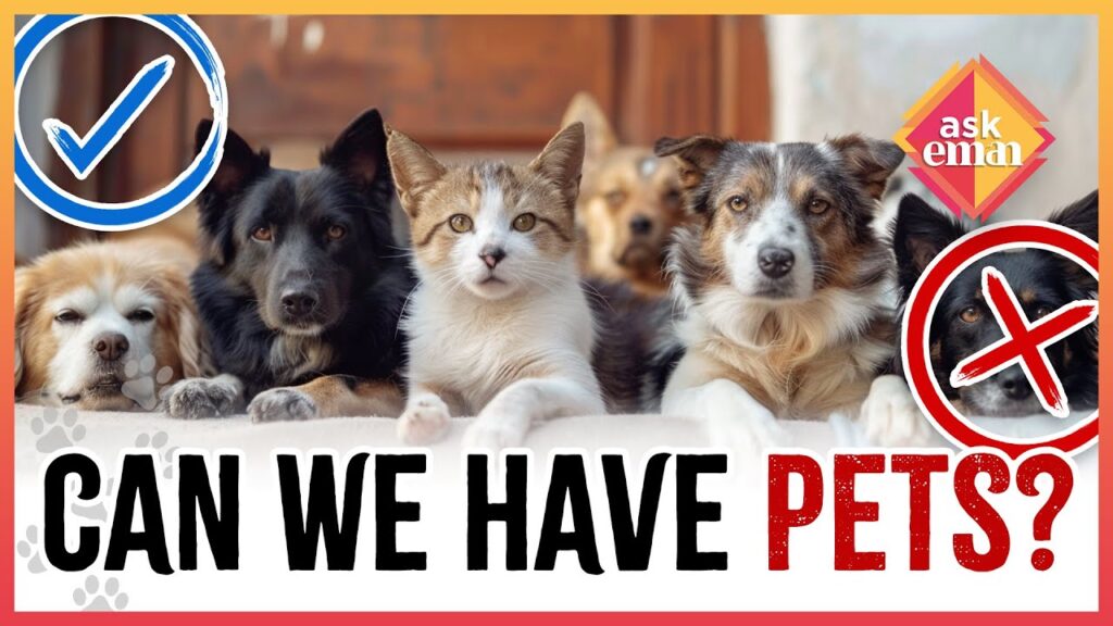 Is It Permissible To Have Pets At Home?