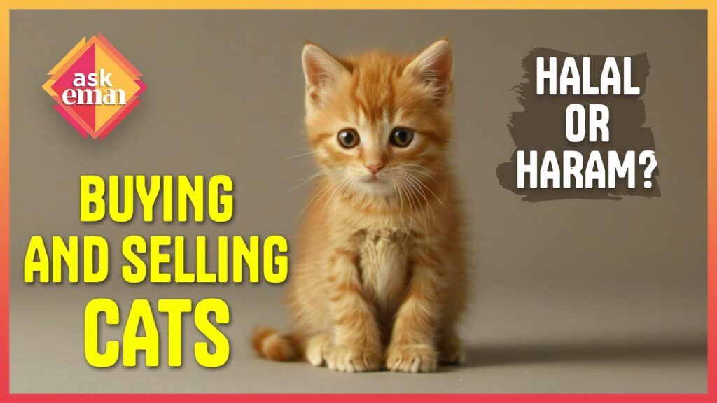 Is It Permissible To Buy And Sell Cats?