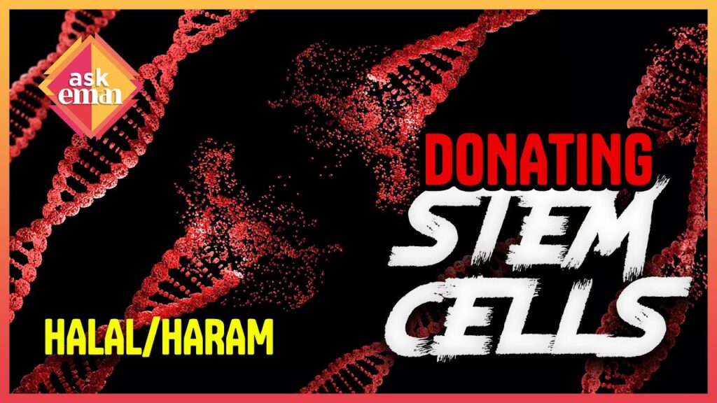 Is It Permissible To Donate Stem Cells?