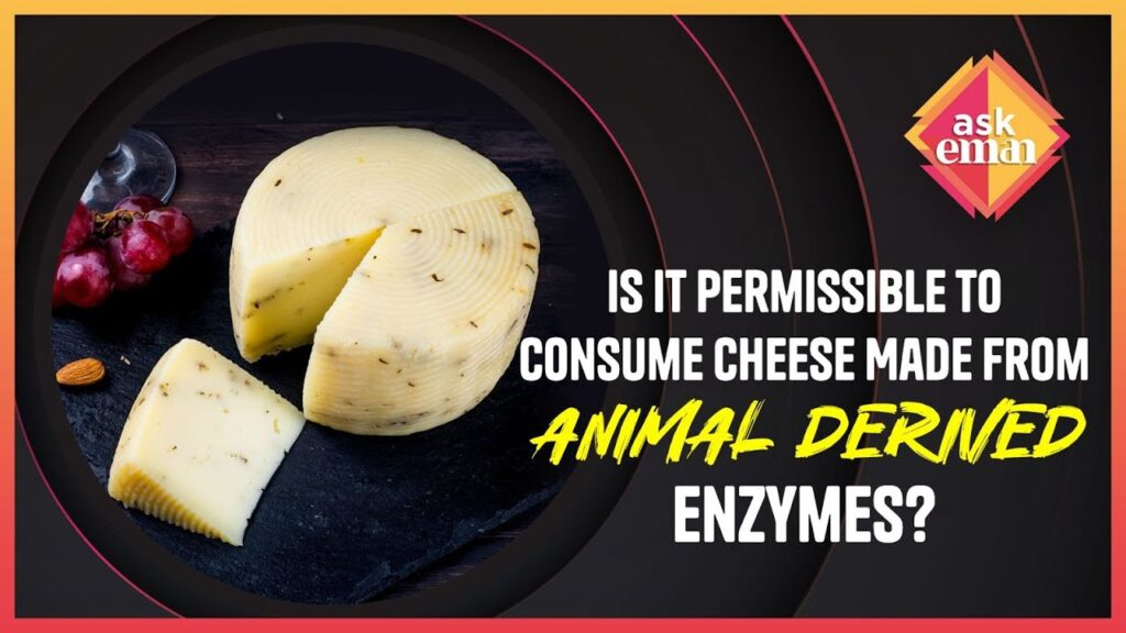 Is It Permissible To Consume Cheese Made From Animal Derived Enzymes?