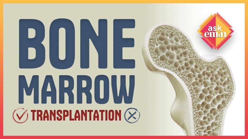 Is Bone Marrow Transplant Allowed To Cure Blood Cancer?