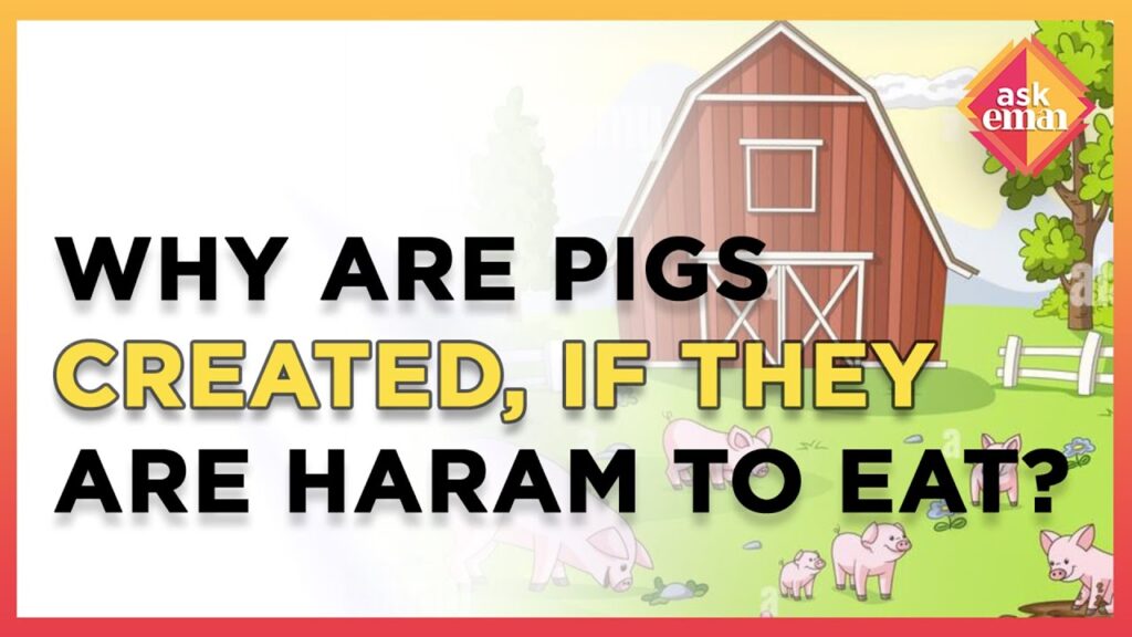 Why Are Animals Like Pigs Created If They Are Haram To Eat?